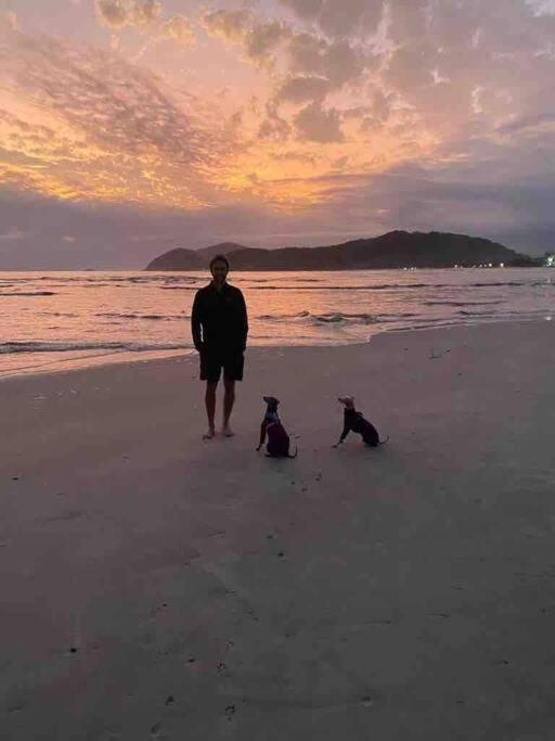 Novo-Refugio Do Arquiteto - Casa Coqueiro, 4 Minutos Caminhando Ate A Praia เซา เซบัสเชียว ภายนอก รูปภาพ